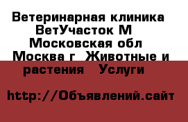 Ветеринарная клиника «ВетУчасток М» - Московская обл., Москва г. Животные и растения » Услуги   